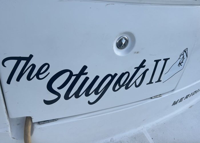 IMG_6717 IMG_6717